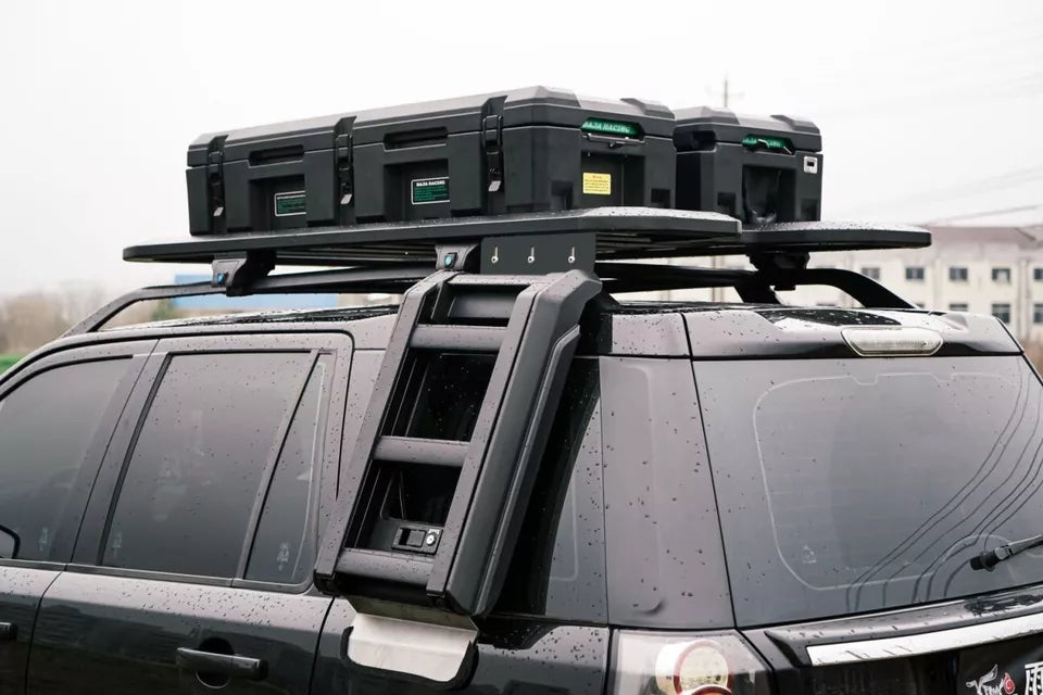 FOR LAND ROVER FREELANDER 2 L359 BLACK SIDE DEPLOYABLE FOLDING ROOF LADDER